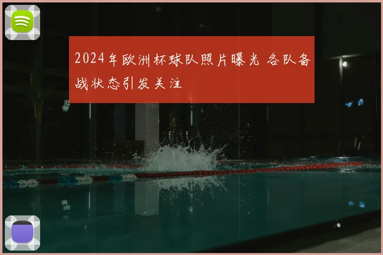 2024年欧洲杯球队照片曝光 各队备战状态引发关注