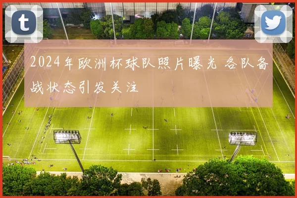 2024年欧洲杯球队照片曝光 各队备战状态引发关注
